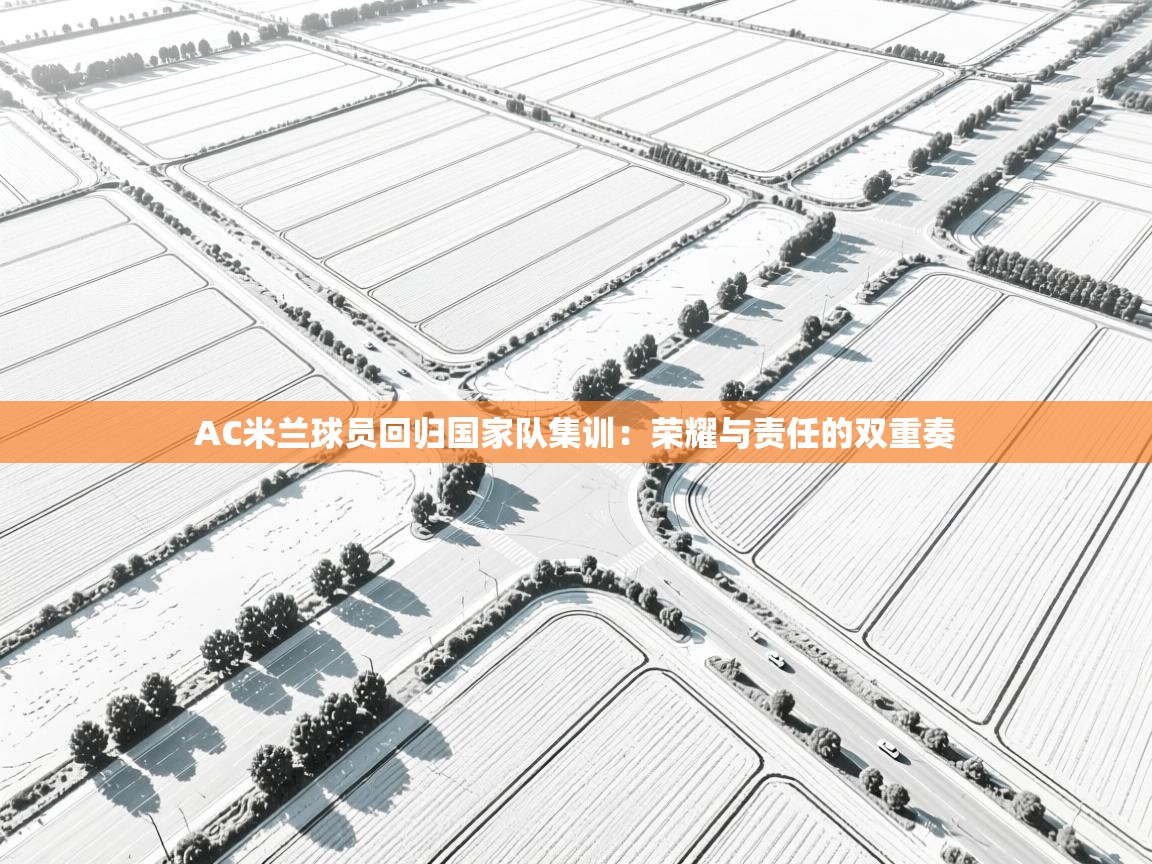 AC米兰球员回归国家队集训：荣耀与责任的双重奏  第1张