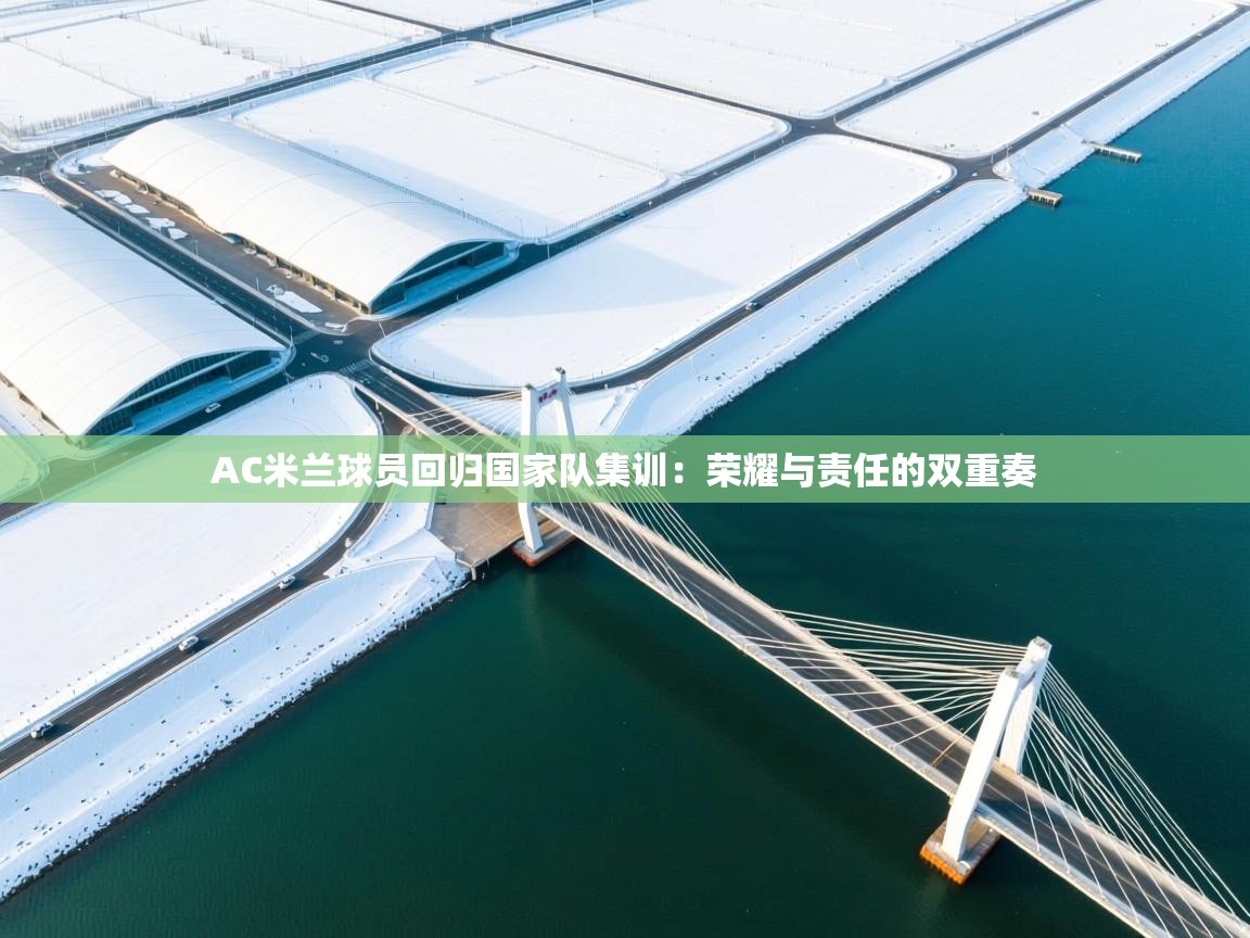 AC米兰球员回归国家队集训：荣耀与责任的双重奏  第2张