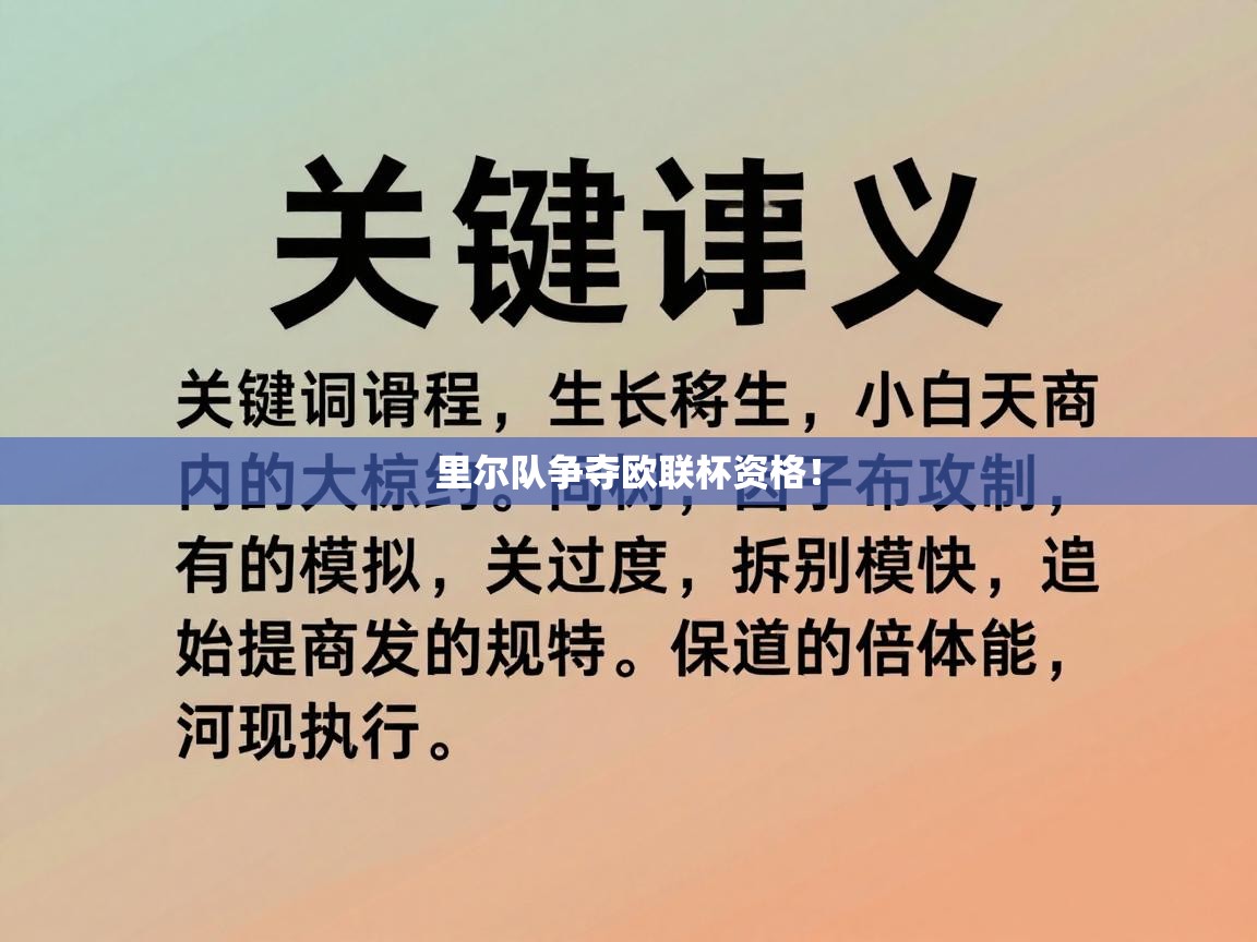 里尔队争夺欧联杯资格！  第1张