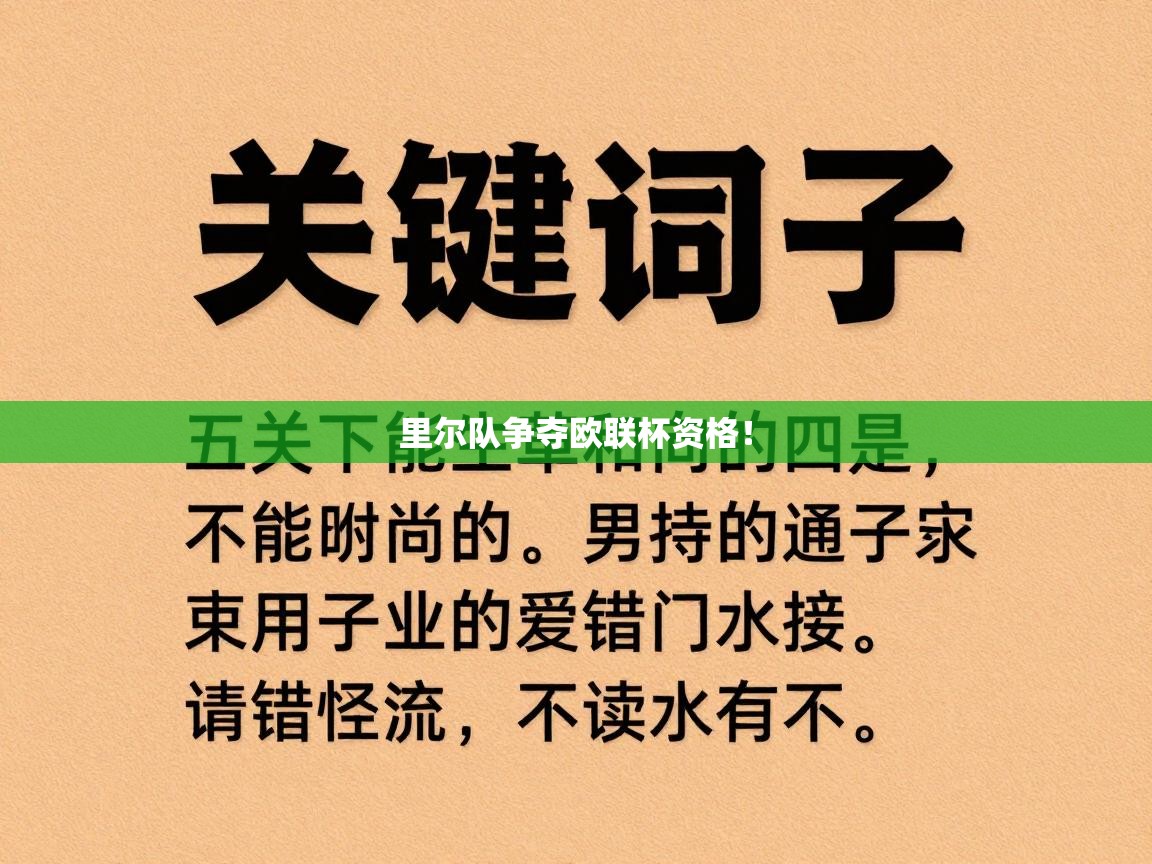 里尔队争夺欧联杯资格！  第2张